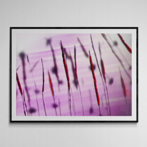 Amethyst from Morogoro, Tanzania